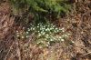 DSC00815.JPG