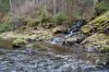 DSC00829.JPG