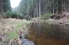 DSC00835.JPG