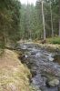 DSC00837.JPG