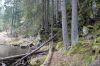 DSC00839.JPG