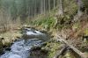 DSC00847.JPG