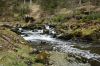 DSC00859.JPG