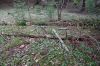 DSC00864.JPG