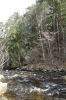 DSC00876.JPG