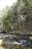 DSC00878.JPG