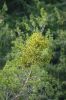 DSC00889.JPG