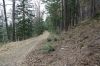 DSC00890.JPG