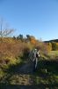 DSC01229.JPG