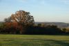 DSC01231.JPG