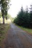 DSC01234.JPG