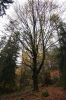 DSC01235.JPG