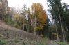 DSC01236.JPG