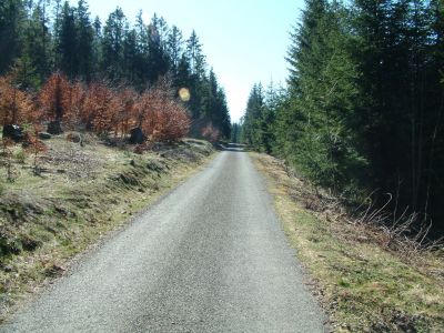 DSCF0003~4.JPG