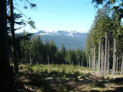 DSCF0009~2.JPG