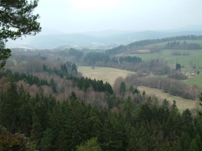 DSCF0019~1.JPG