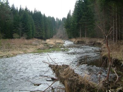 DSCF0029~0.JPG