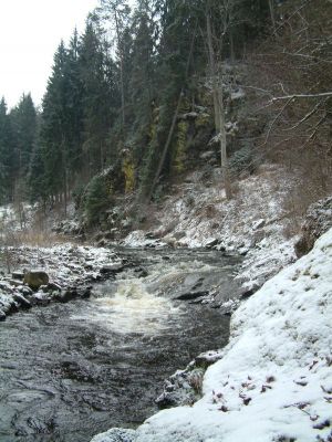 DSCF0050~0.JPG