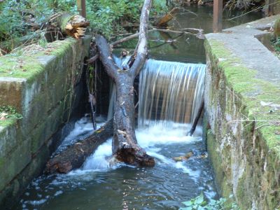 DSCF0069~1.JPG