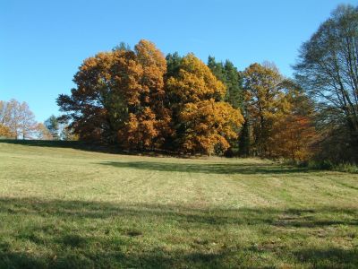 DSCF0073~0.JPG