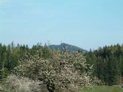 DSCF0084~3.JPG