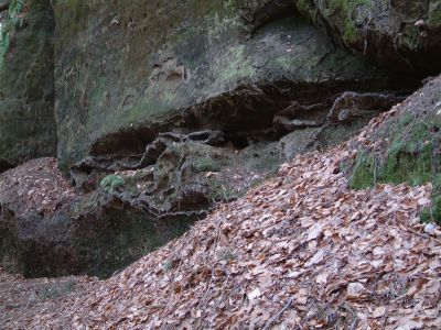 DSCF0134.JPG