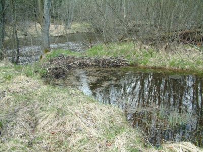 DSCF0143~0.JPG