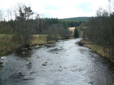 DSCF0144~2.JPG