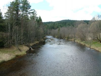DSCF0147~0.JPG