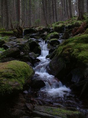 DSCF0164~0.JPG