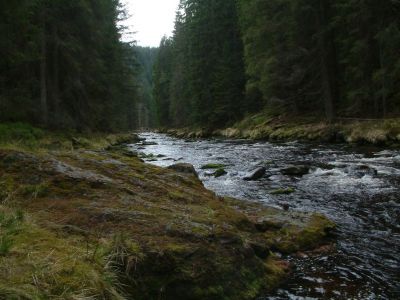 DSCF0181~0.JPG