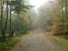Filename=DSCF0015~2.JPG
Filesize=325KiB
Dimensions=1200x901
Date added=Jan 07, 2018 DSCF0015~2.JPG