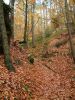 Filename=DSCF0059~0.JPG
Filesize=704KiB
Dimensions=1200x1596
Date added=Jan 07, 2018 DSCF0059~0.JPG
