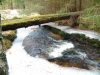 DSCF0059~1.JPG