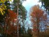 DSCF0074~2.JPG