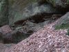 DSCF0134.JPG