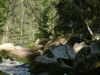 DSCF0136~2.JPG