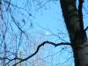 DSCF0142.JPG