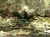 Filename=DSCF0207.JPG
Filesize=184KiB
Dimensions=798x600
Date added=May 05, 2015 DSCF0207.JPG