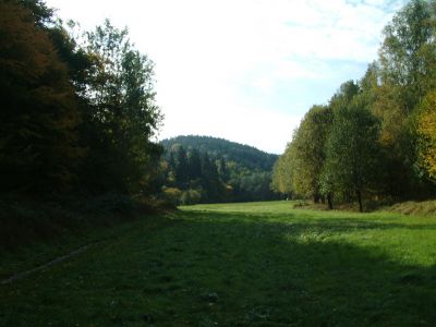 DSCF0001~10.JPG