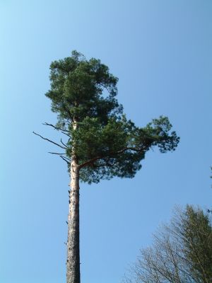 DSCF0005~34.JPG