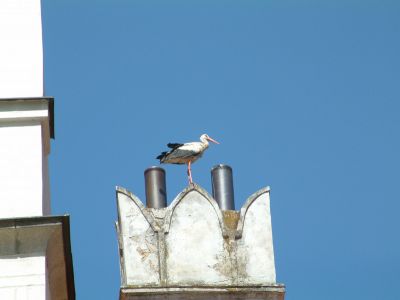DSCF0010~8.JPG