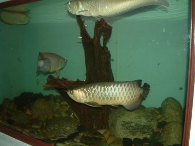 DSCF0012~14.JPG