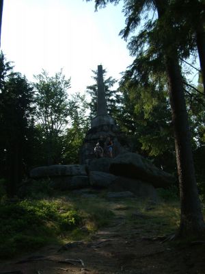 Vysok kmen
