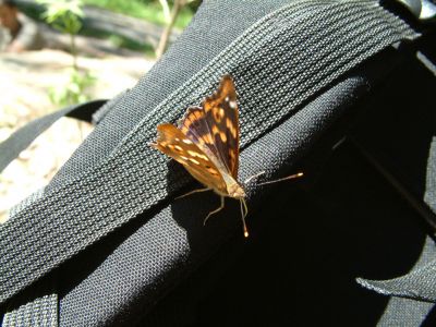 DSCF0022~4.JPG