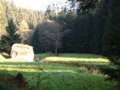 DSCF0033~17.JPG