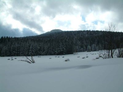 DSCF0036~16.JPG