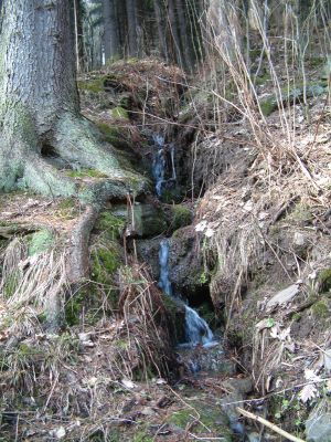 DSCF0039~3.JPG