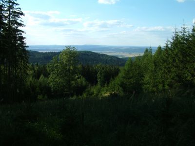DSCF0039~5.JPG