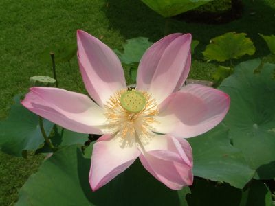 DSCF0040~4.JPG